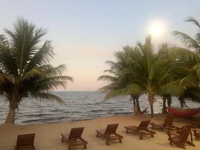 The White Horse Inn - Hopkins Village Beach Belize Kültér fotó